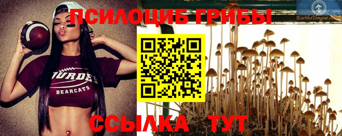 Галлюциногенные грибы Psilocybine cubensis  Галлюциногенные грибы Psilocybe  Вход с VPN  что такое наркотик  Ессентуки 