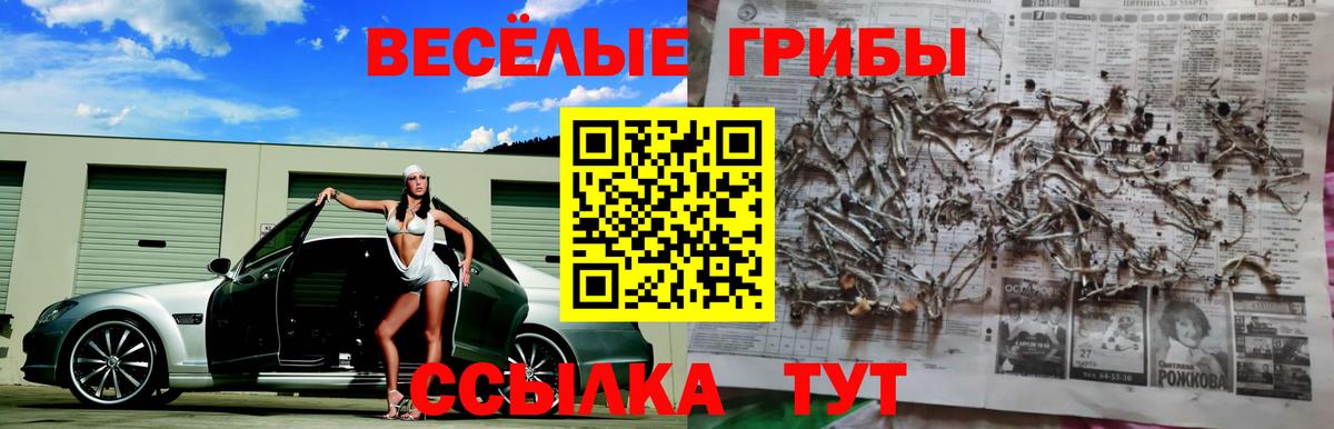 Галлюциногенные грибы GOLDEN TEACHER Ессентуки